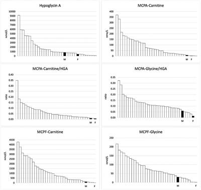 Severe Inhibition of Long-Chain Acyl-CoA Enoylhydratase (EC 4.2.1.74) in a Newborn Foal Suffering From Atypical Myopathy